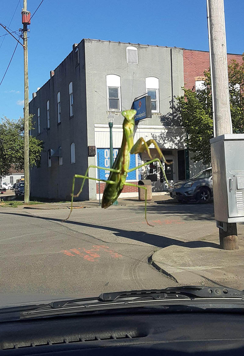 17 оптических иллюзий для того, чтобы мозг запутать раз и навсегда 17 оптических иллюзий для того, чтобы мозг запутать раз и навсегда