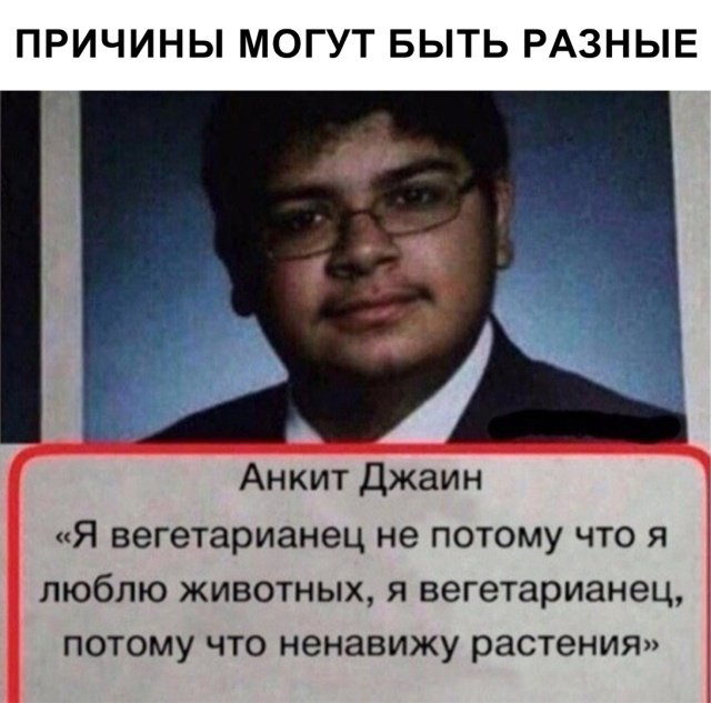 Фотоподборка среды 