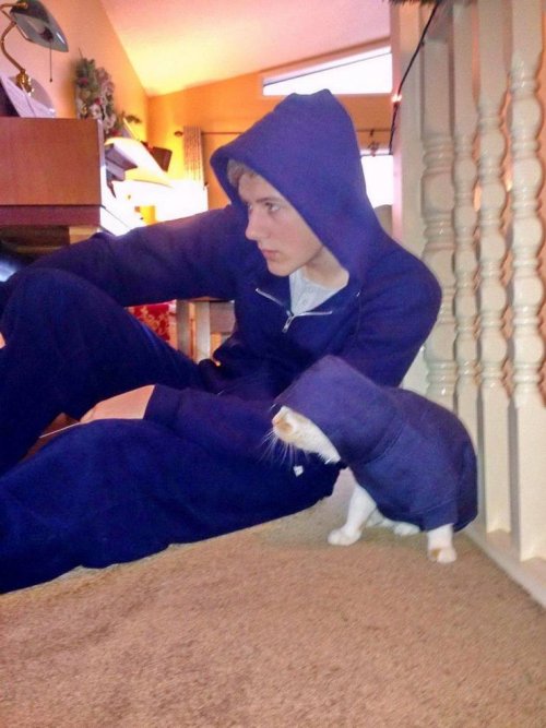 Пост прикольных картинок шутки, юморина