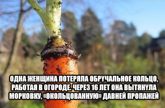 Зачетные картинки и прикольные фото с надписями из жизни Зачетные картинки и прикольные фото с надписями из жизни картинки с надписями,смешные комментарии,юмор