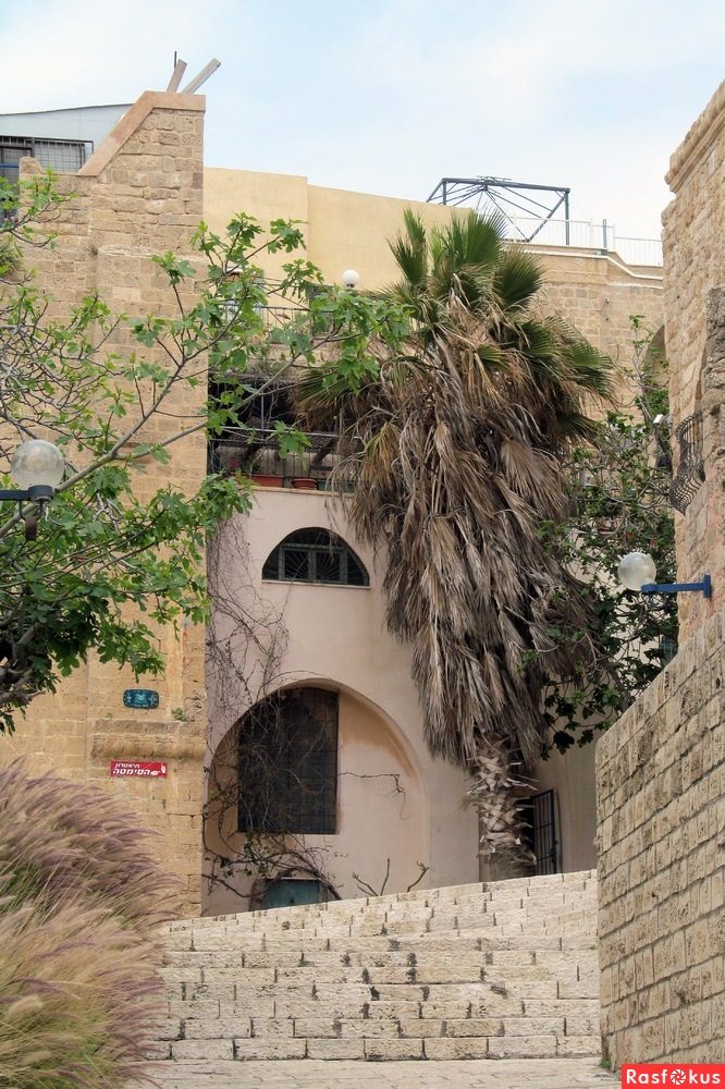 Израиль — страна-пустыня? Нет, страна-сад! Израиль — страна-пустыня? Нет, страна-сад!