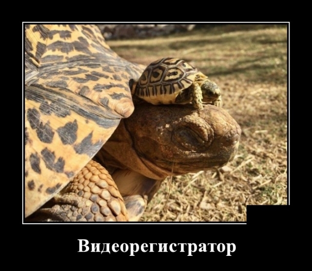 Демотиваторы - Улыбайтесь, господа, улыбайтесь! Демотиваторы - Улыбайтесь, господа, улыбайтесь!