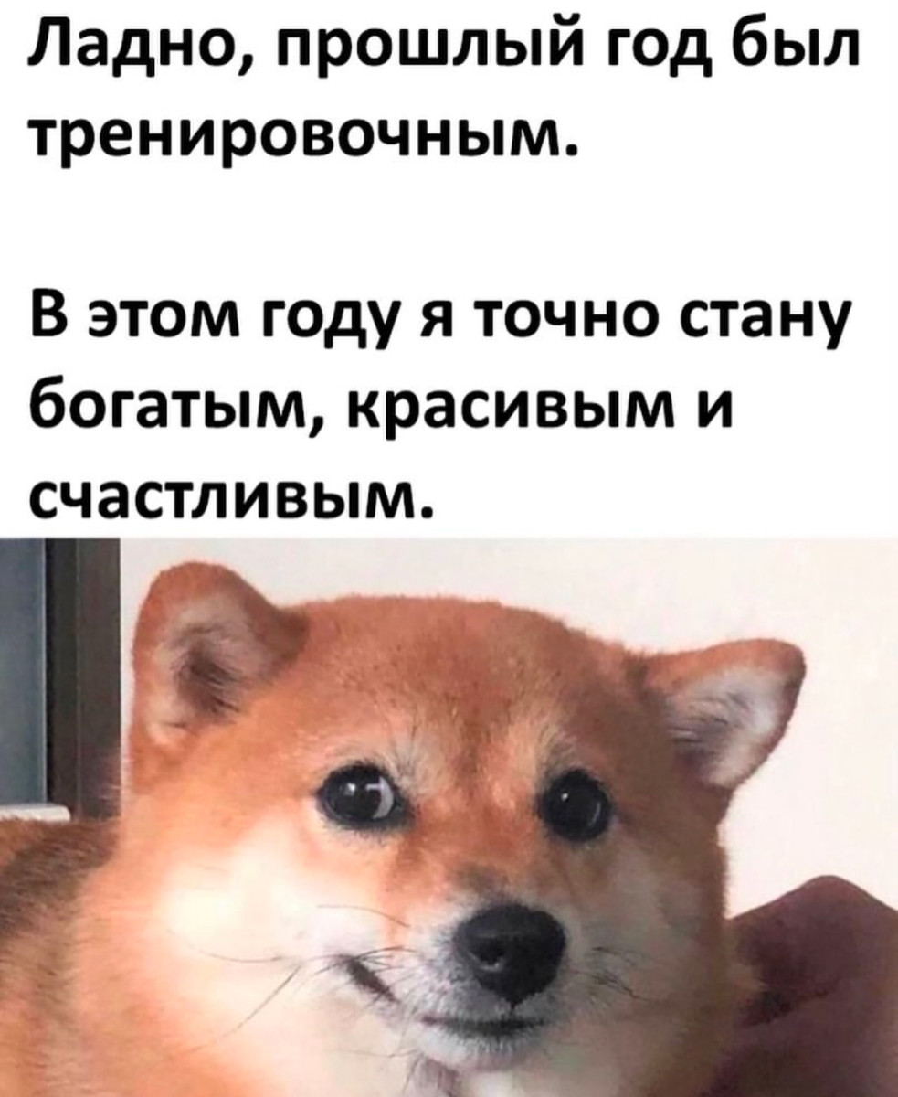 Пользователь Вий просит добавить его в Ваш круг... Пользователь Вий просит добавить его в Ваш круг...