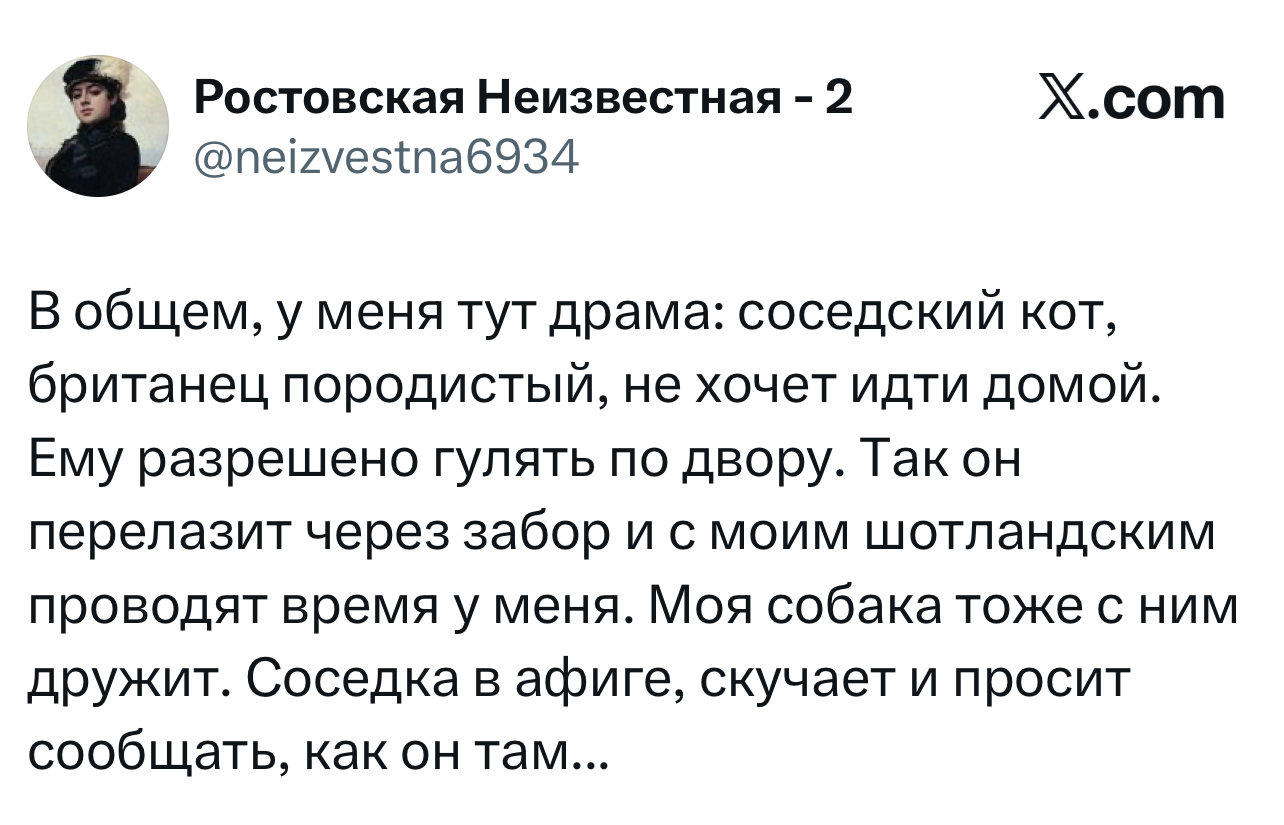 Лучшие шутки дня из X (бывшего Твиттера)