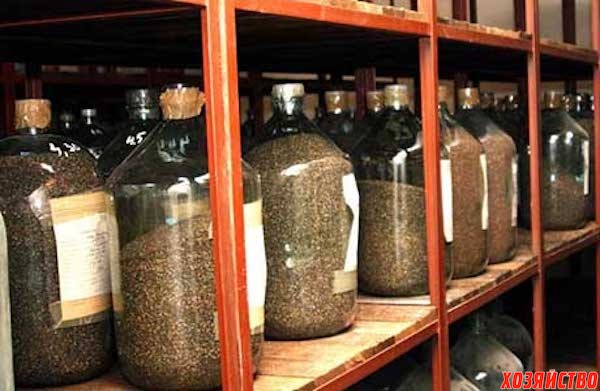 Сколько лет можно хранить семена