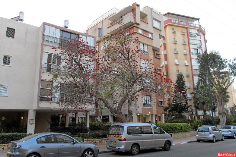 Израиль — страна-пустыня? Нет, страна-сад! Израиль — страна-пустыня? Нет, страна-сад!