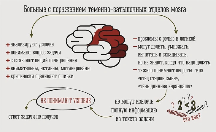 2 + 2 = ? Почему некоторые люди не понимают математику дискалькулией, только, ребенка, дискалькулии, может, сколько, задачи, проблемы, детей, тень…, испытывают, понимаю, понять, длиннее…, математику, дискалькулию, времени, карандаша, падает, чтото