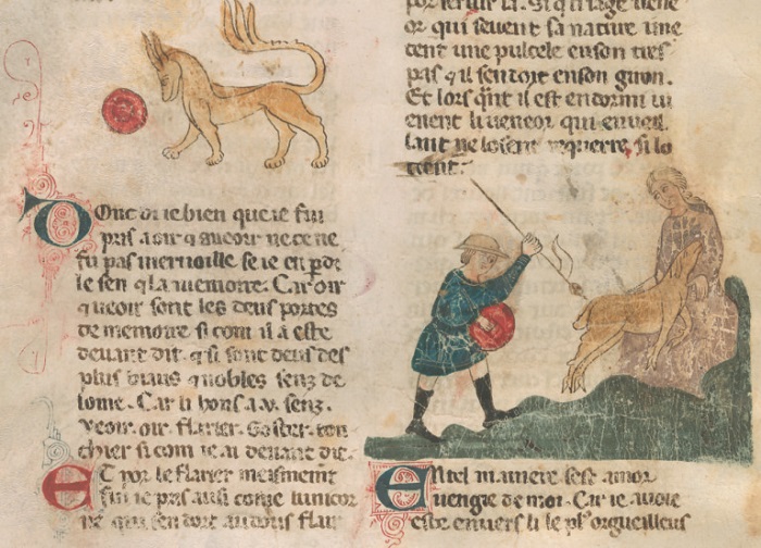 Тайна «Дамы с единорогом»: Почему картину Рафаэля в начале ХХ века никто не узнал Тайна «Дамы с единорогом»: Почему картину Рафаэля в начале ХХ века никто не узнал