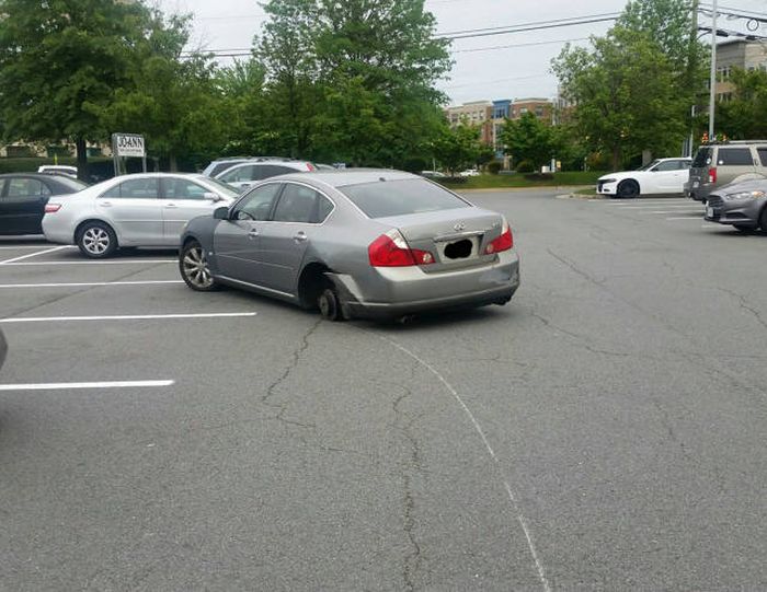 Зачетные и прикольные фотографии из сети 