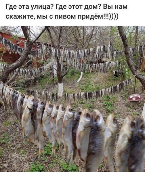 Подборка смешных картинок для хорошего настроения! Подборка смешных картинок для хорошего настроения!