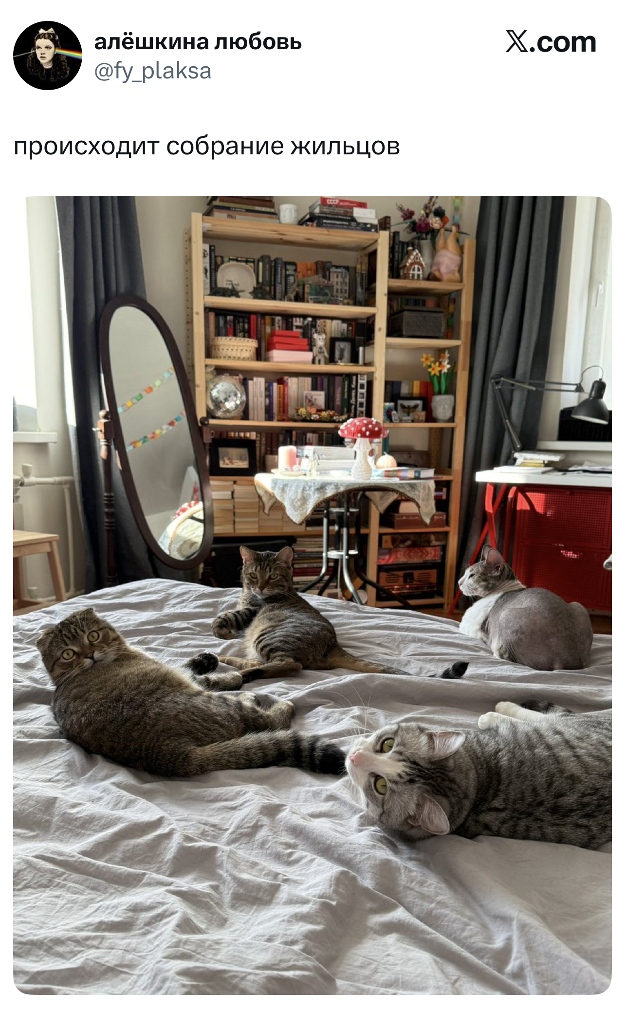 Лучшие шутки дня из X (бывшего Твиттера)