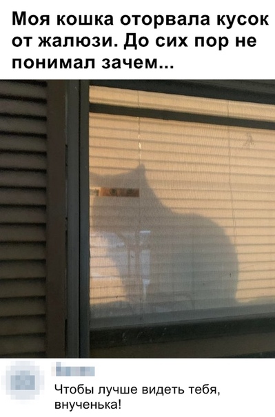 Зачетные картинки и прикольные фото с надписями из жизни Зачетные картинки и прикольные фото с надписями из жизни картинки с надписями,смешные комментарии,юмор