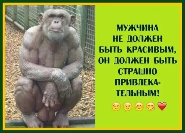 Взросление – это когда тебе больше не стыдно носить контейнер с обедом на работу Взросление – это когда тебе больше не стыдно носить контейнер с обедом на работу Ивановна, жизнь, гаишника, молодой, будку, петлю, табурет, половинка, перед, купюру, словами, батон, сколько, Официант, Таможенник, только, Сегодня, будет, Марья, говорит