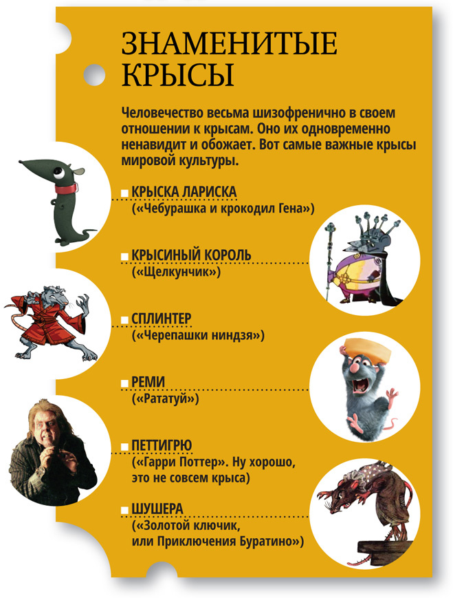 Знаменитые крысы Знаменитые крысы
