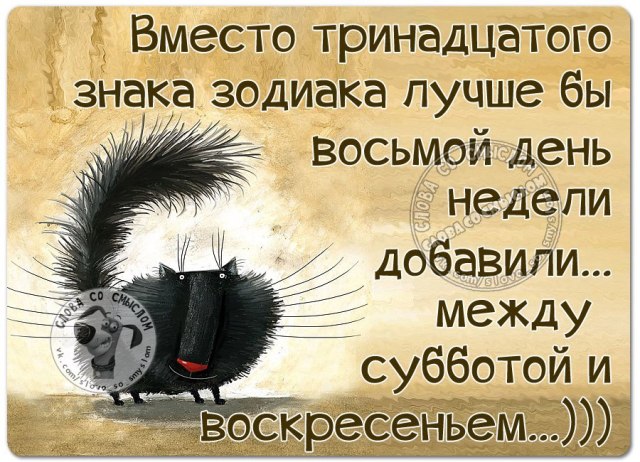 воскресенье фраза. воскресенье цитаты. воскресенье юмор. фразы про воскресенье. воскресенье пожелания на день.