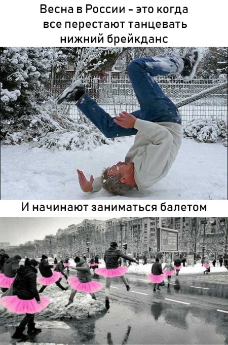 Подборка прикольных картинок  смешные картинки