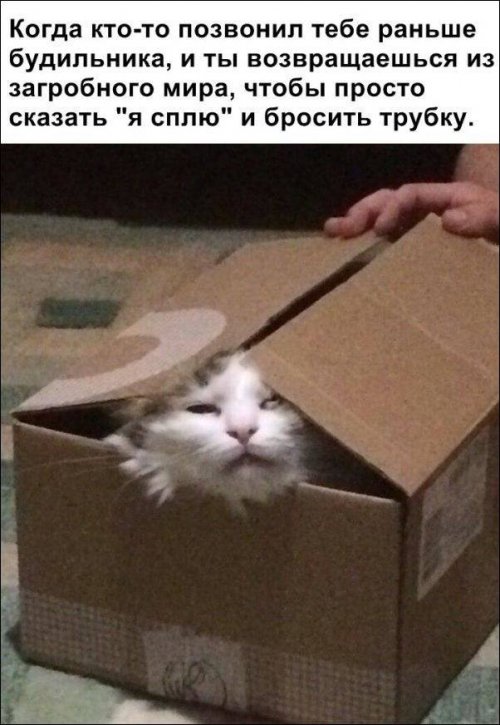 Свежие прикольные фото и картинки 