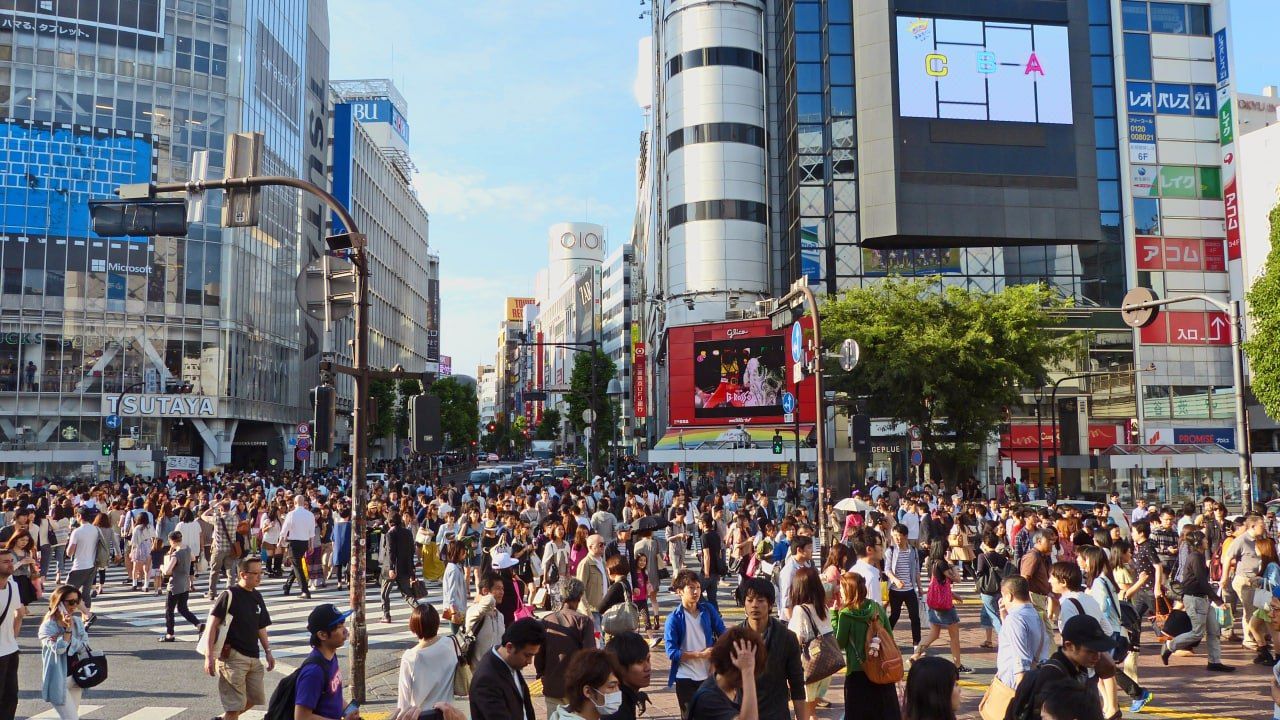 Российские фильмы «Сказка» и «Продукты 24» будут представлены на Токийском кинофестивале