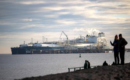 «Лучше я сама тебя убью!»: США зажали Европу в газовые тиски