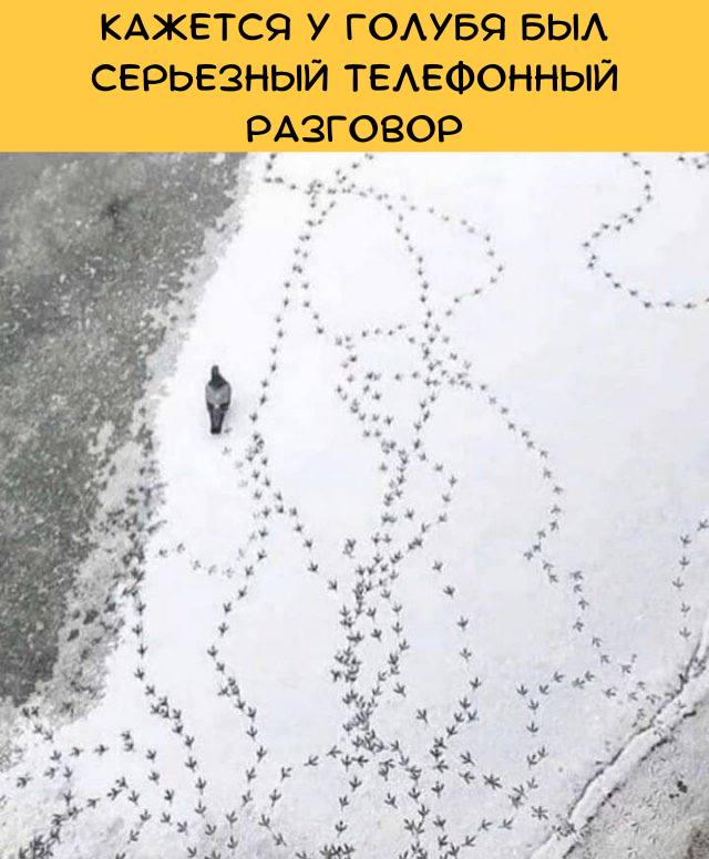 Убойные картинки с надписями 