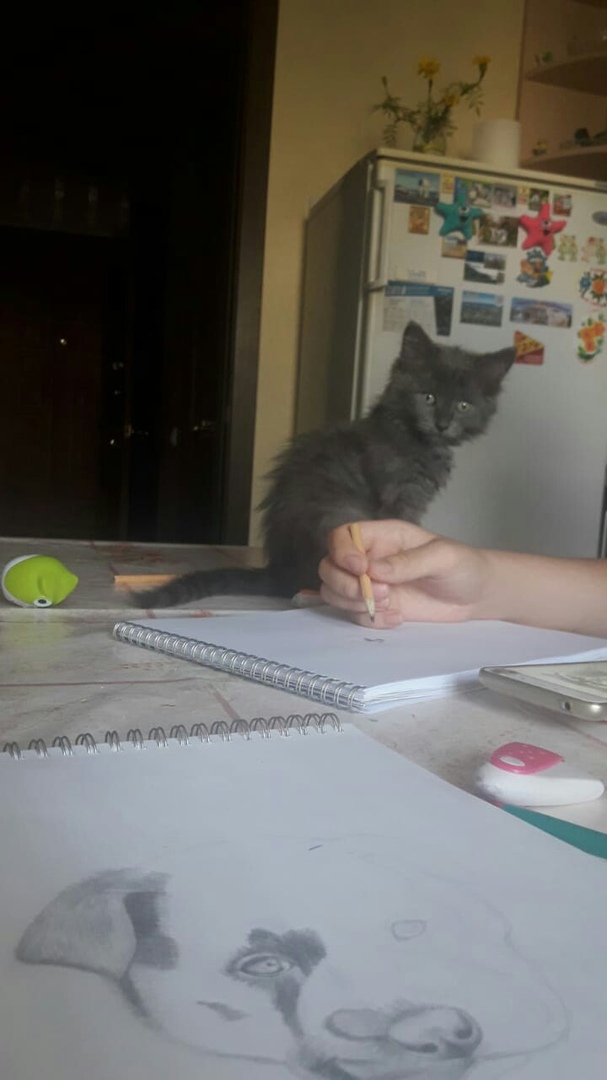 Марсик, которому повезло Марсик, которому повезло