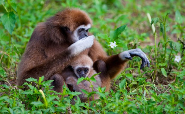 Фотография: От этих фото на душе становится теплей №17 - BigPicture.ru