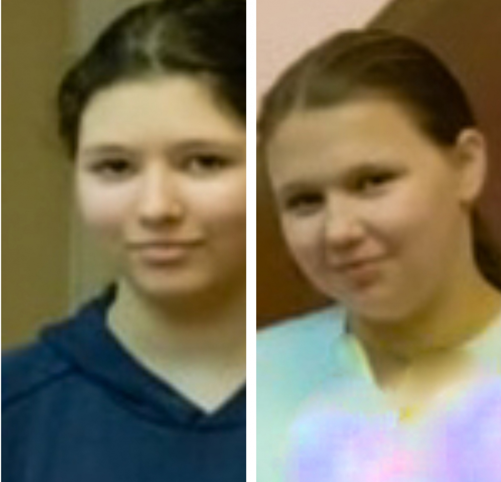 Тверской области разыскивают двух девочек