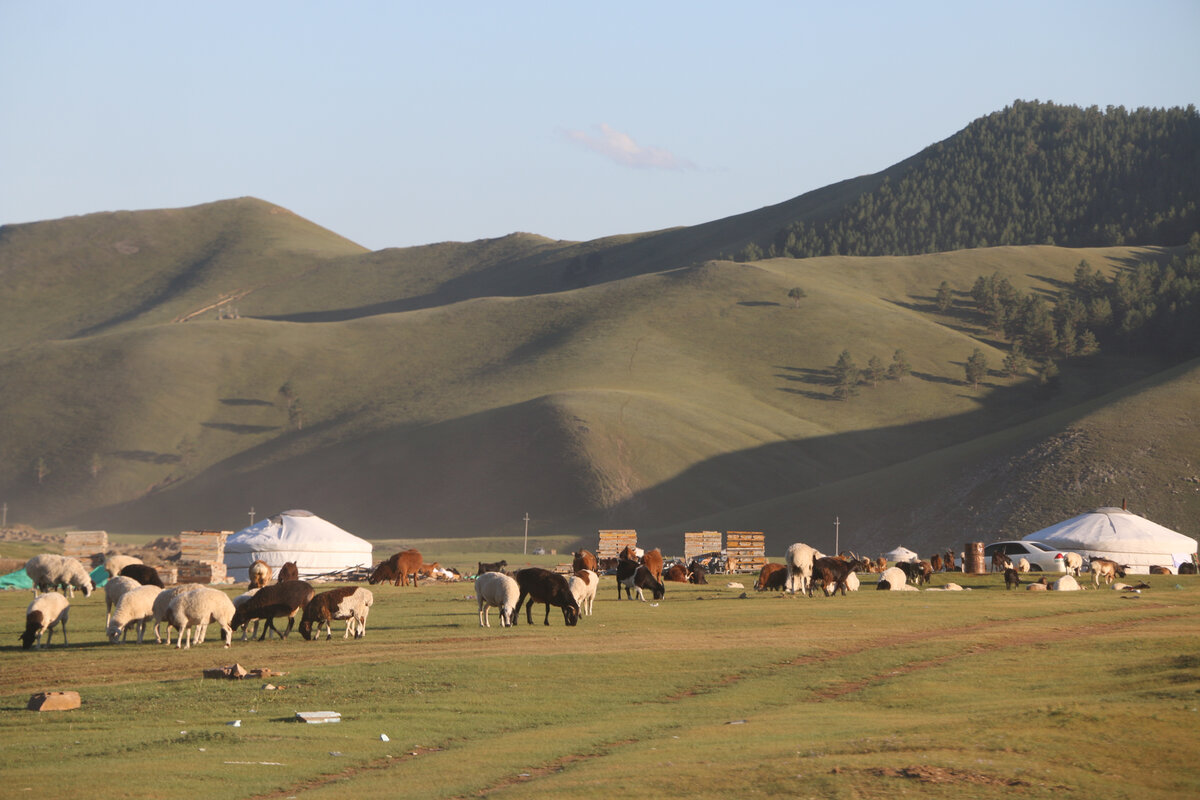  "Шестнадцатая союзная республика", "скотоводческая сверхдержава", "страна последних кочевников" - все эти эпитеты довольно точно подходят Монголии, стране, которую мало кто у нас хорошо себе...-33
