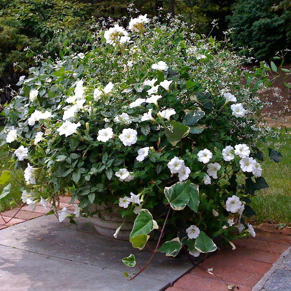 landscape-design-for-romantics20-1