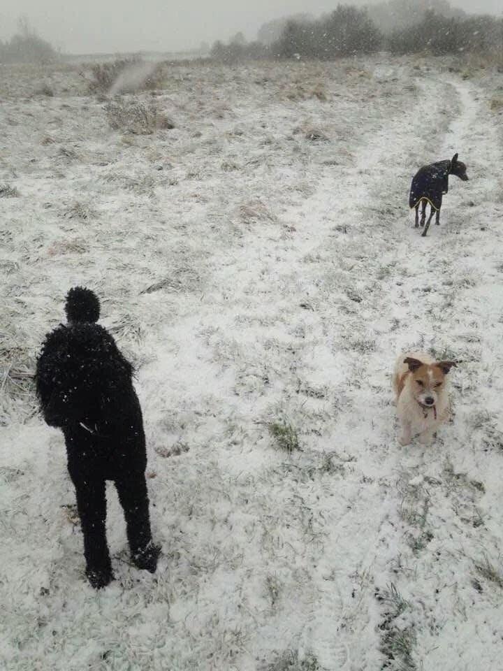 17 оптических иллюзий для того, чтобы мозг запутать раз и навсегда 17 оптических иллюзий для того, чтобы мозг запутать раз и навсегда