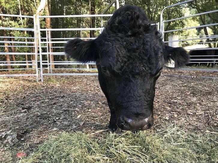 17 оптических иллюзий для того, чтобы мозг запутать раз и навсегда 17 оптических иллюзий для того, чтобы мозг запутать раз и навсегда