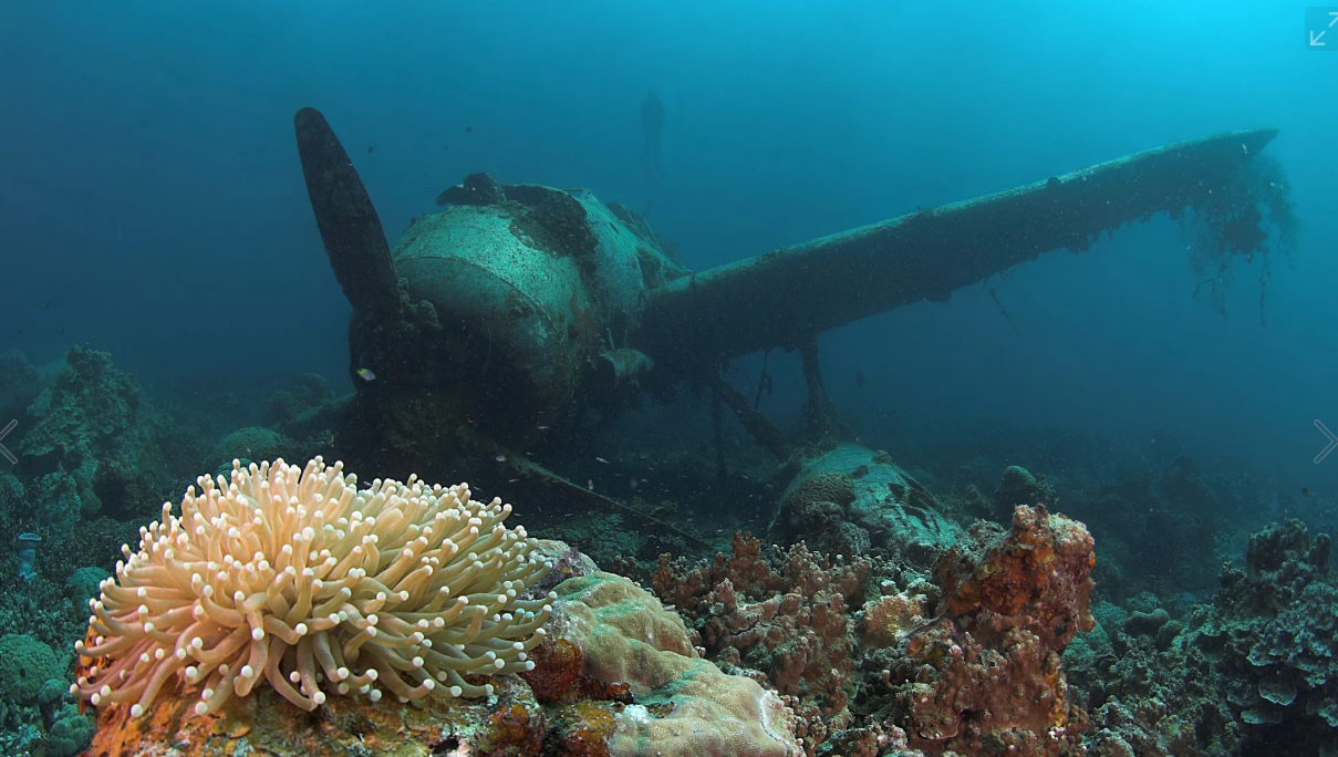 Корабли морских глубин. Морские глубины. Атлантический океан подводный мир. Подводный мир с затонувшим кораблем. Подводный мир Балтийского моря.