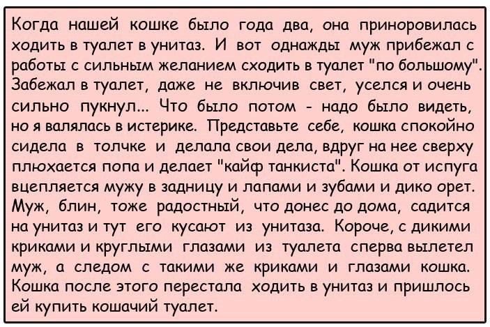 Приноровился или принаровился. Приноровиться это что значит. Принаровиться или приноровиться. Что значит слово приноровились. Принаровиться или. Приноровился или принаровился. Приноровиться это что значит. Принаровиться или приноровиться. Что значит слово приноровились.