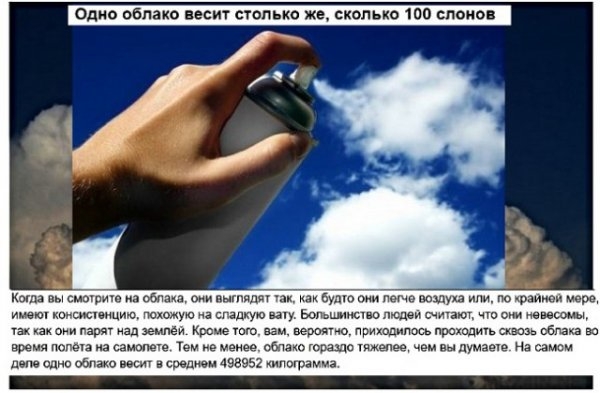 Анекдоты, истории и картинки с надписями 