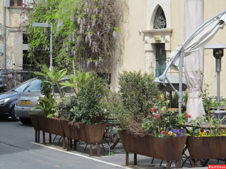 Израиль — страна-пустыня? Нет, страна-сад! Израиль — страна-пустыня? Нет, страна-сад!