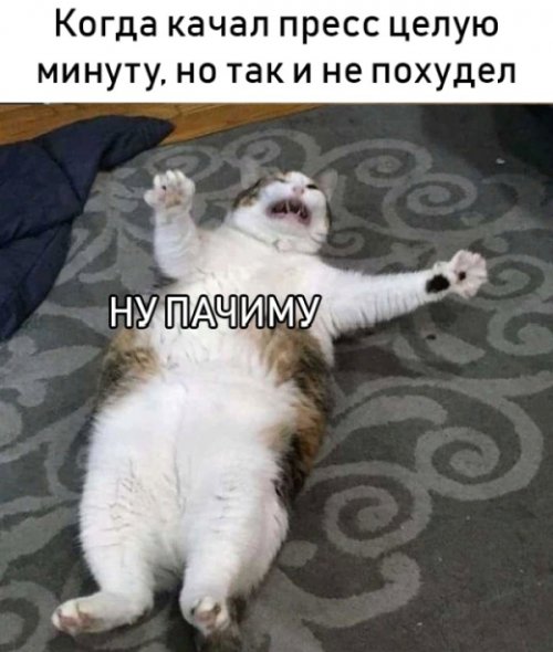 Пост прикольных картинок шутки, юморина