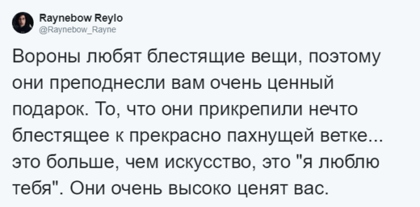 Мужчина четыре года кормил воронью семью, и те принесли ему таинственный дар