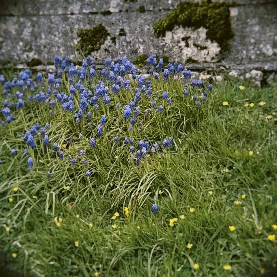 Музеи и кладбища: Паулина Андреева показала, как проводит время в Лондоне Бондарчук, Паулина, Паулины, АндреевойФото, Андреева, актриса, режиссёр, назад, раннем, слухам, Маргарита, внучки, также, диагноз, поставили, детстве, признанной, которой, расстался, Сергей