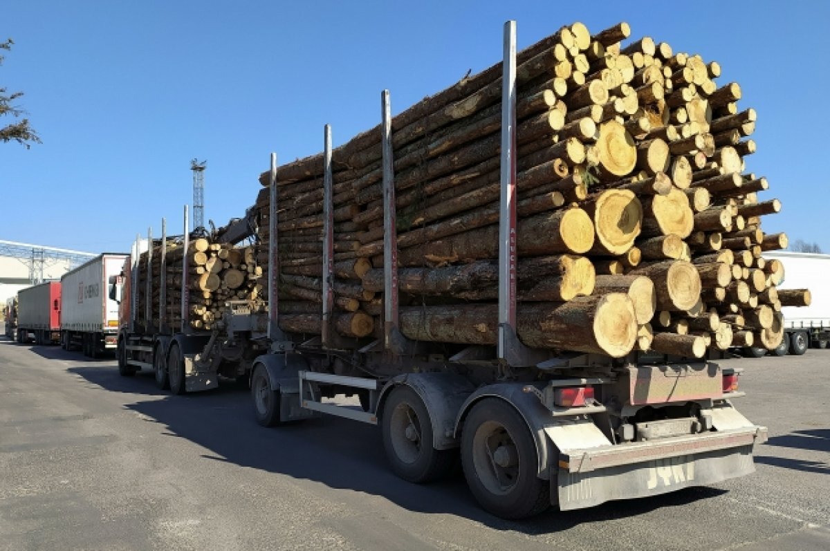    Финны просят Евросоюз запретить японцам покупать российский лес