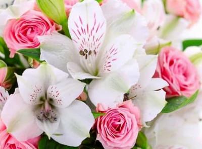 Цветочный гороскоп