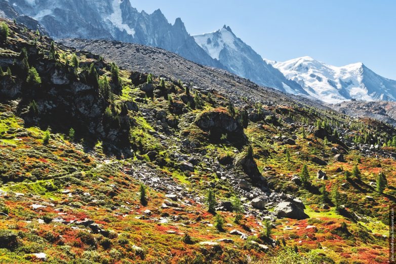 В горах Шамони, или Как увидеть четыре времени года за один день В горах Шамони, или Как увидеть четыре времени года за один день