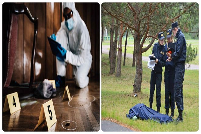 Может быть, Doe и Roe просто рифмуются, может быть, их легко запомнить, но имена John и Jane Doe остались в США и Канаде вплоть до наших дней. А в Англии они вышли из употребления.