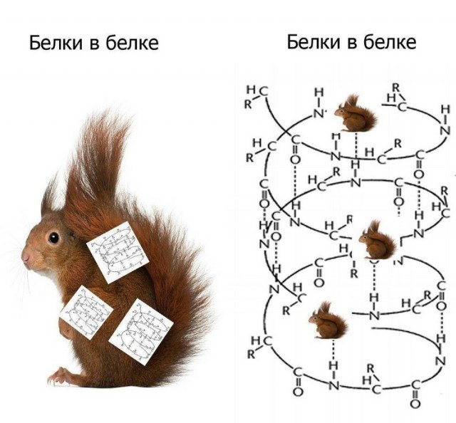 Юмор на разные темы 