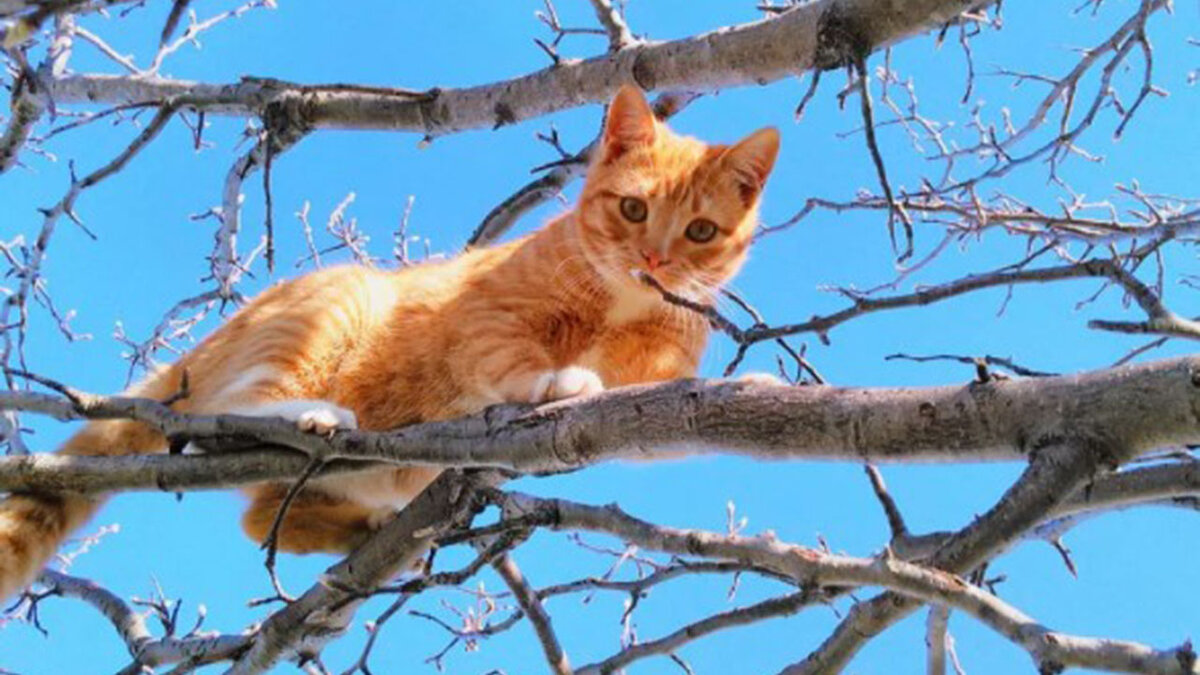 Больше никогда