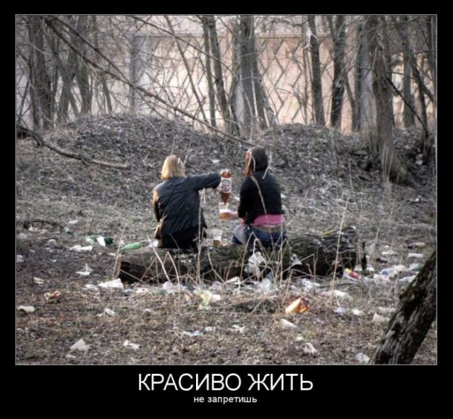 Веселые и забавные демотиваторы на выходные Веселые и забавные демотиваторы на выходные