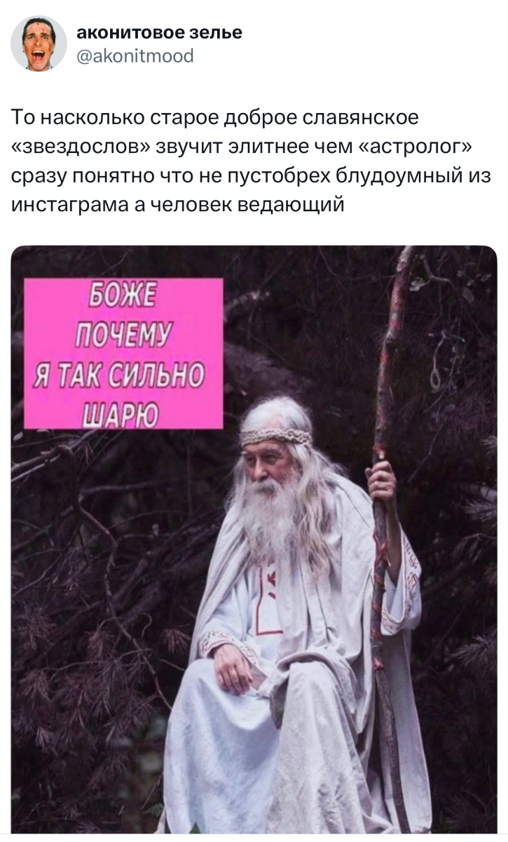 Юмор за день и Изольда 