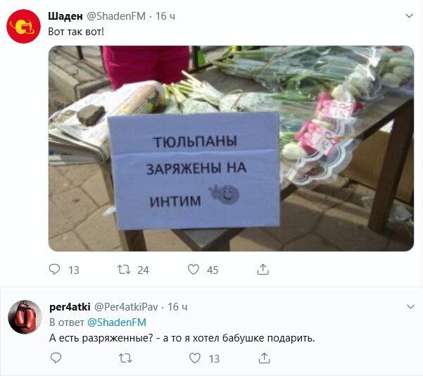 Прикольное эхо 8 Марта! ))) веселые картинки