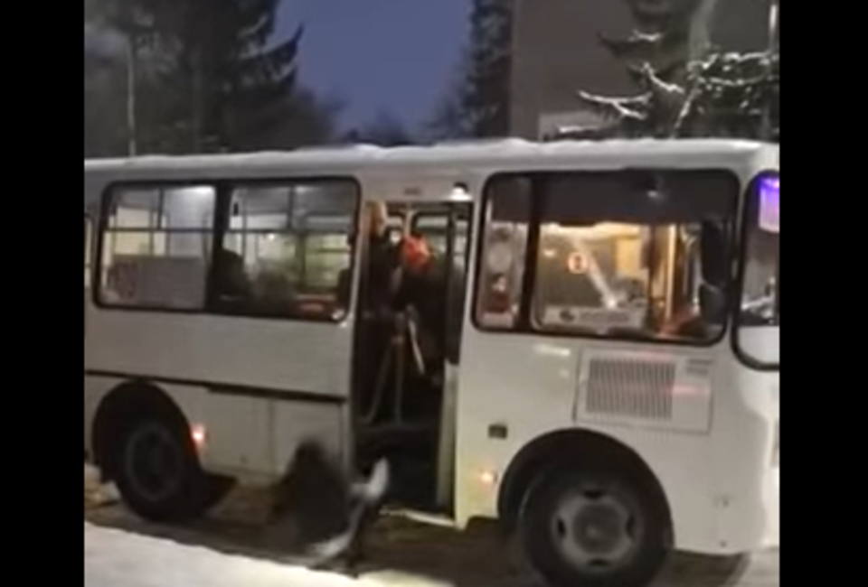 Под Новосибирском водитель выбросил пассажирку из автобуса
