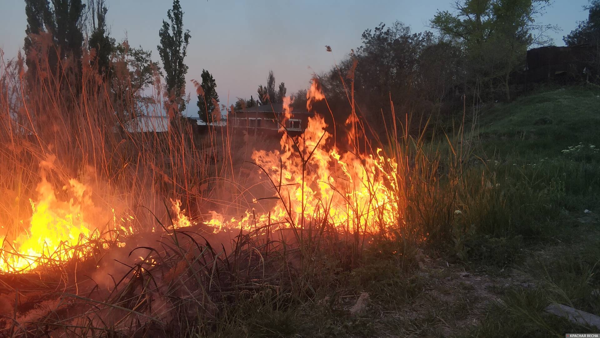 Площадь пожаров в лесах Свердловской области сократилась в пять раз