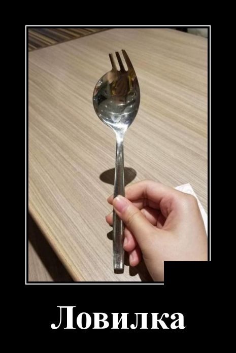 Весёлые картинки в чёрной рамке 